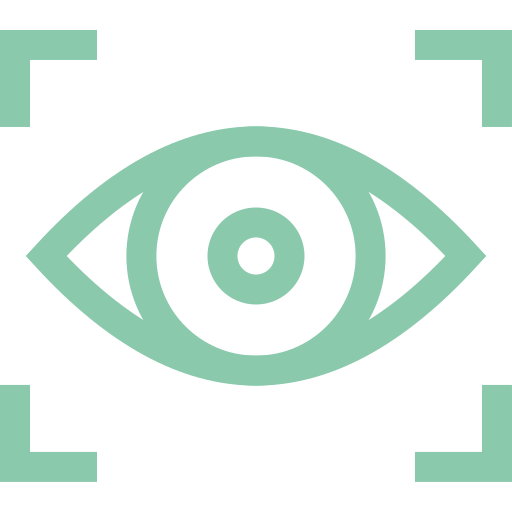 vision-icon